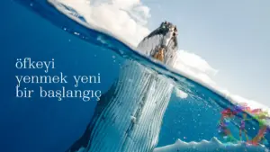 Van Öfke kontrolü ile duygusal dengeyi sağlamak ve yeni bir başlangıç yapmak.